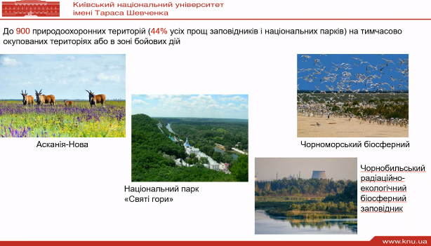 Слайд з доповіді професорки Ольги Любіцевої